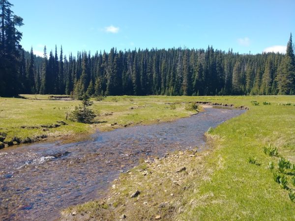 Deep Creek Horse Camp