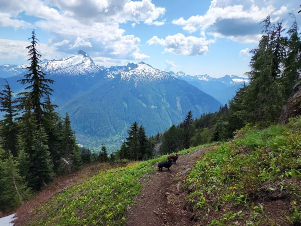 Lost Creek Backpacking Site