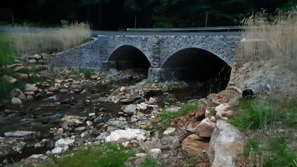 Andrews Cove Campground