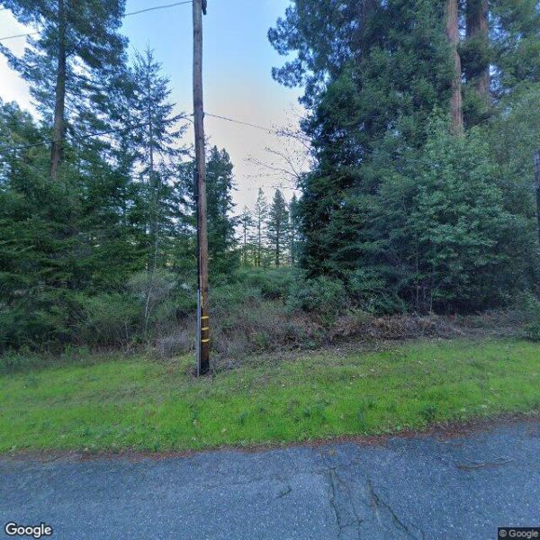 Free overnight Forrest parking, tents possible