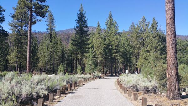 Heart Bar Campground