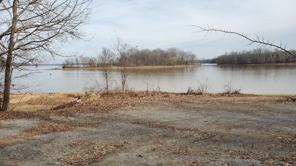 Nickell Branch Basic Campground