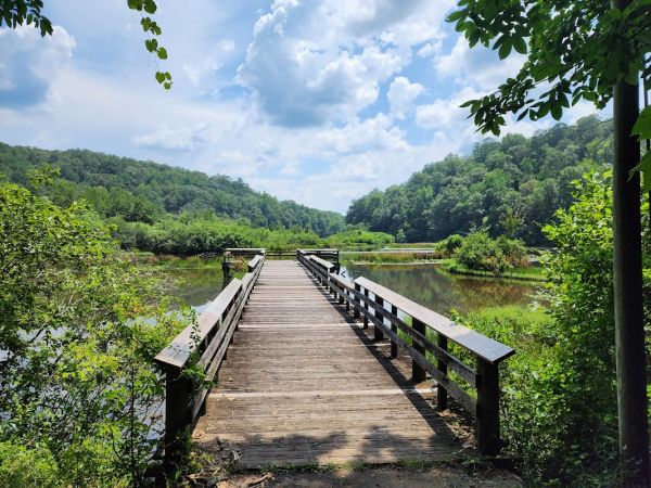 Brushy Lake Recreational Area Campground