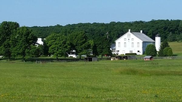 Mcillian Woods Youth Campground