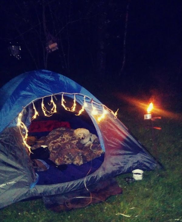 Red Fox Campground & RV Park