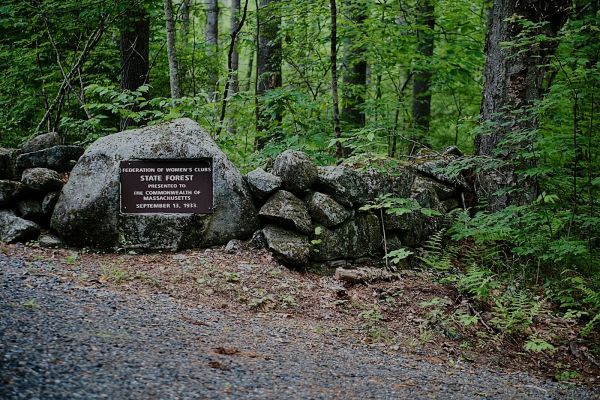 Federated Womens' Club State Forest Primitive Campsite