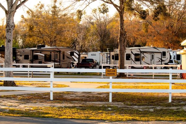 Buck Landing Campsite