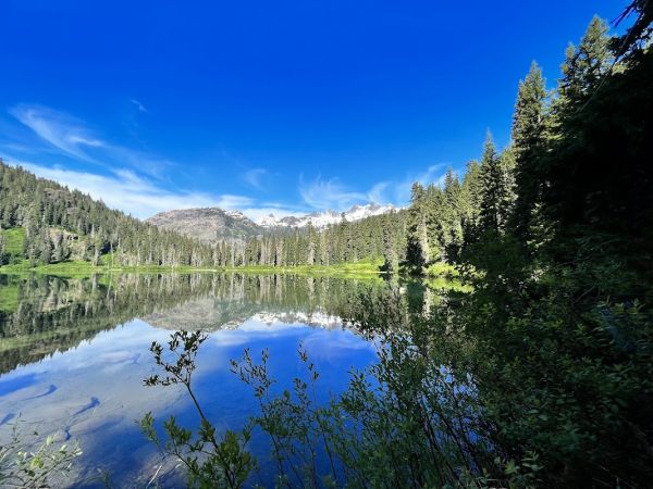 Pete Lake Backpacking Site