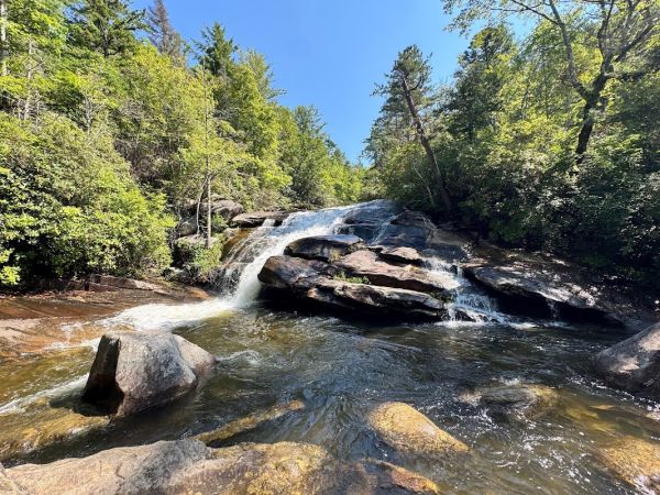 Wintergreen Campsite