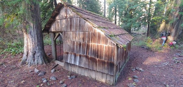 Boze Shelter Forest Camp