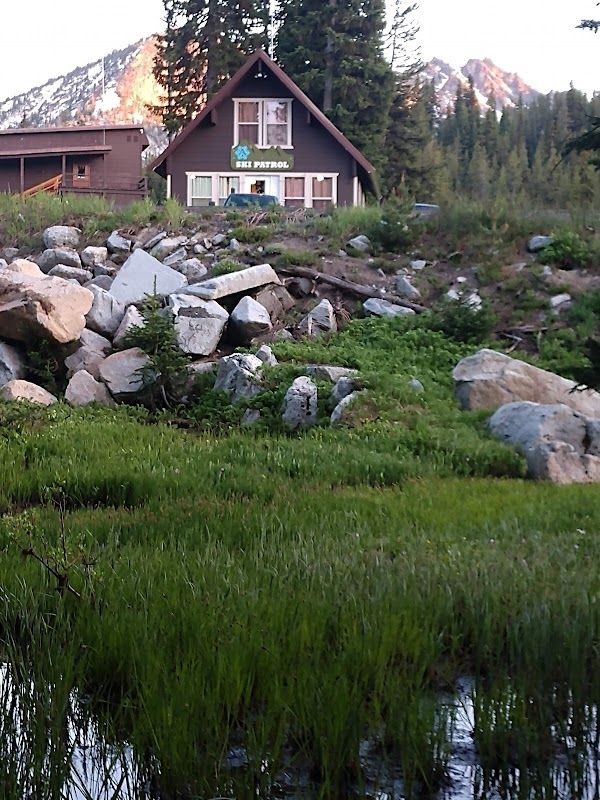 Mud Lake Shelter Forest Camp
