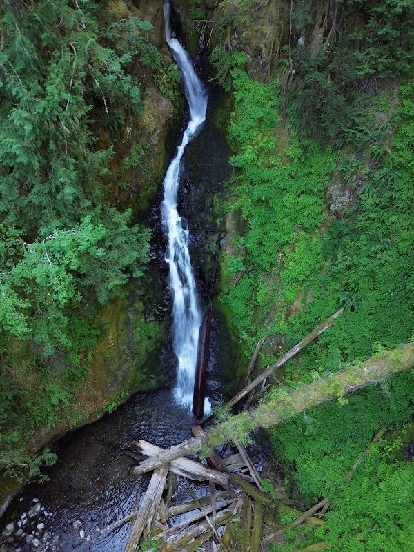 Lake in the Woods Campground