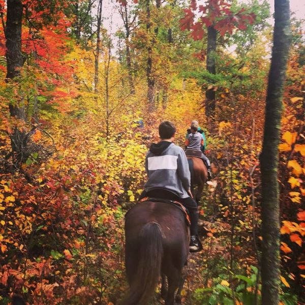 Pillsbury State Forest- Walter Stark Horse Camp