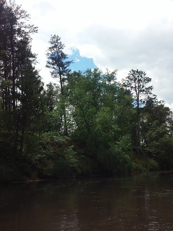 Huntersville State Forest - Landing