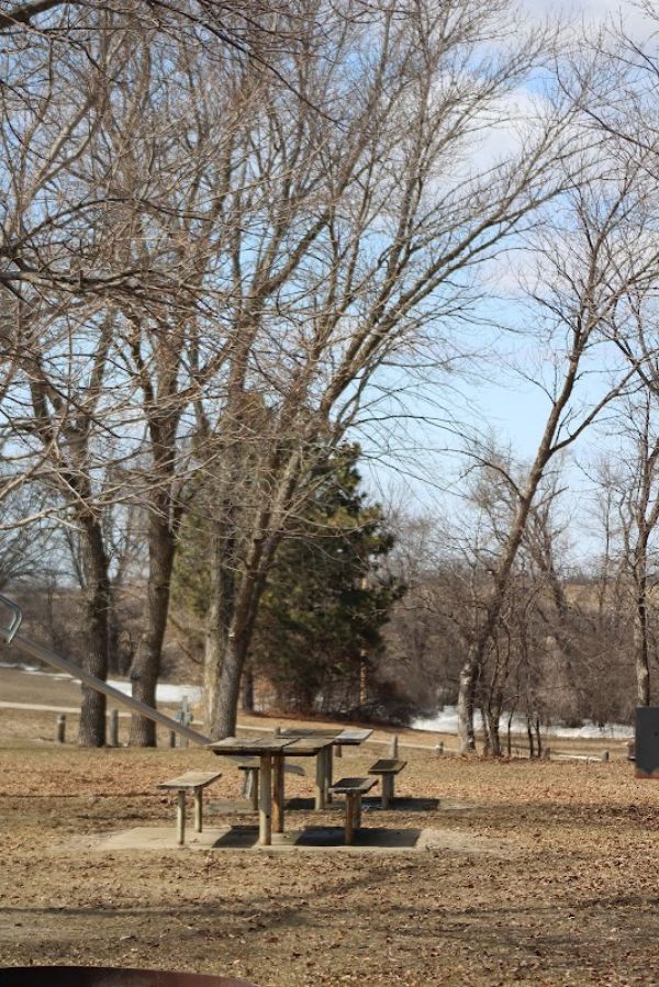 Lightning Lake Access- DNA