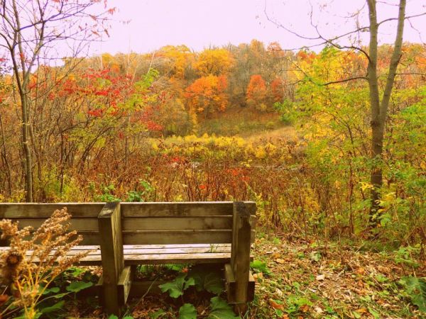 Flandrau State Park- Rustic Campground