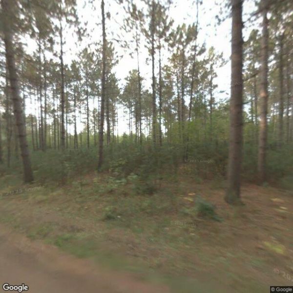 Gen. G C Andrews State Forest -Willow River