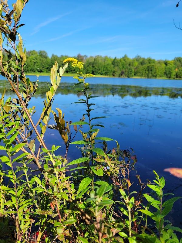 Naomikong Pond Campsite