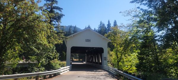 Mayflower Shelter Forest Camp