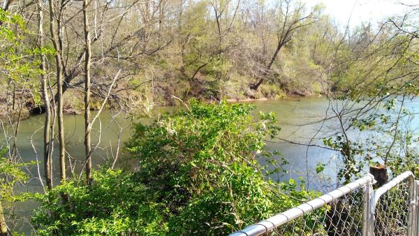 Mad Mama's River Run Campground