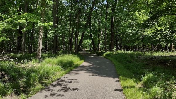 Glendalough State Park Canoe Campsite