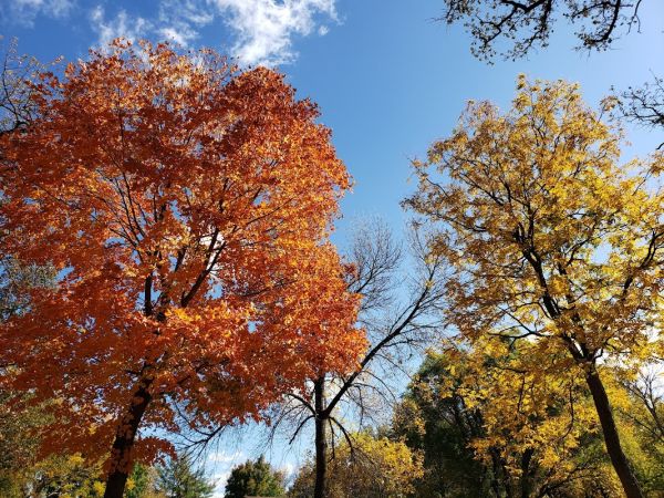 Jakway County Park Campground