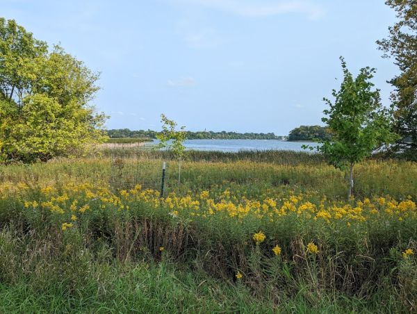 Allemanstratt Wilderness Park