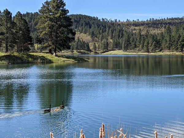 Cook Lake Recreation Area