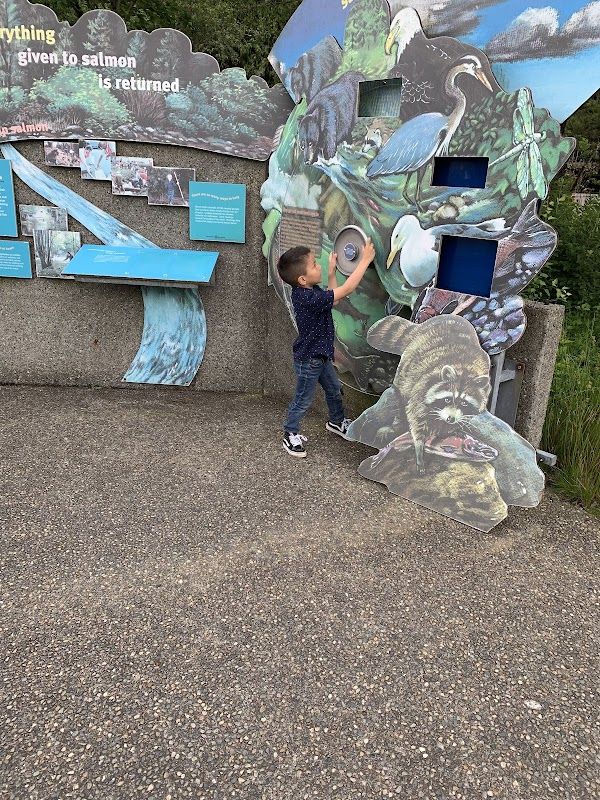 East Kachess Group Campground