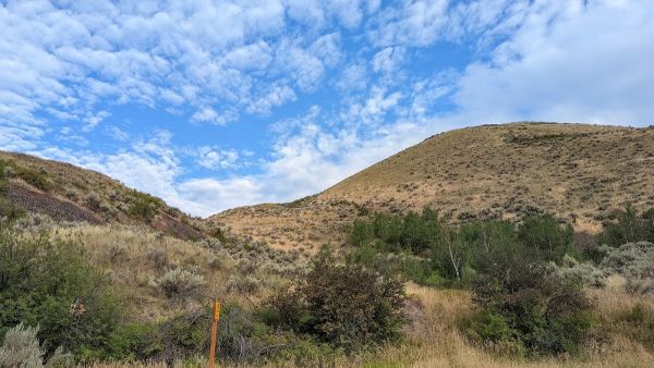 Bargamin Creek Campsite
