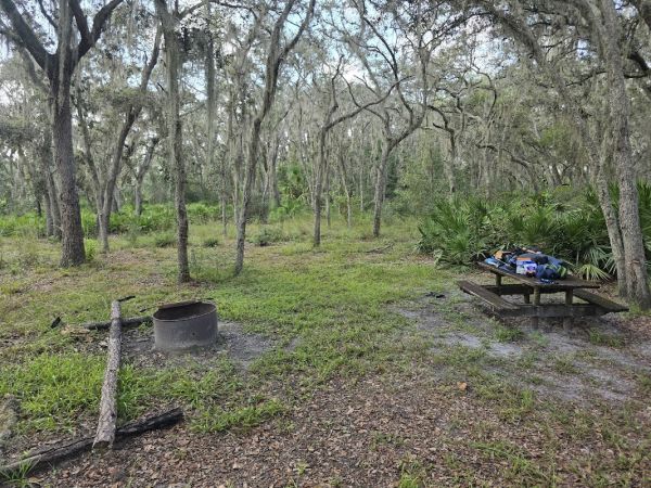 Gator Hole Primative Camp Site