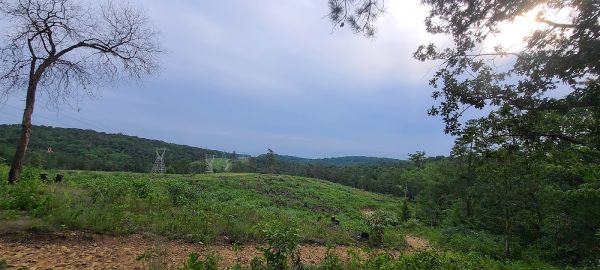 William Penn State Forest Designated Campsite